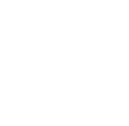 Ambassador Development and Management